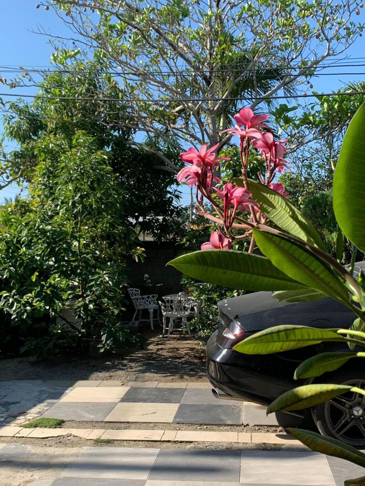 Cerca De Aeropuerto , Bleseed House Monte Adentro  外观 照片